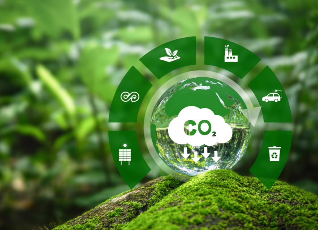 Business saving the environment by opting for solar